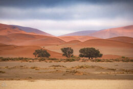 Namibia_August (127/135)